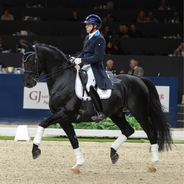 Deifeldt's King van de Landhorst