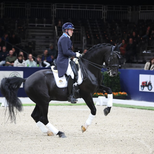 Deifeldt's King van de Landhorst